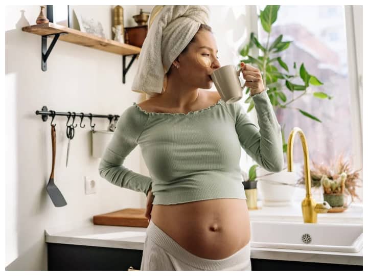 प्रेगनेंसी के दौरान महिला का खास ख्याल रखना बहुत जरूरी होता है. इस दौरान मां और शिशु दोनों के पोषण और स्वास्थ्य का विशेष ध्यान रखना चाहिए. प्रेगनेंसी में बेबी के स्वस्थ विकास और मां के स्वास्थ्य के लिए कुछ जरूरी विटामिन्स और मिनरल्स की आवश्यकता होती है. आइए जानते हैं प्रेगनेंसी में बेबी ग्रोथ के लिए कौन सी टैबलेट्स लेना जरूरी होता है.