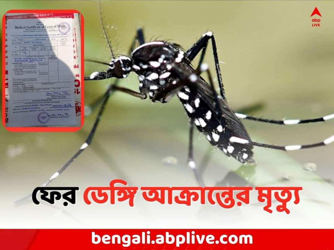 Murshidabad Dengue Death : Woman dead due to Dengue in Berhampore Murshidabad News: ২৪ ঘণ্টায় সব শেষ, সময় দিল না চিকিৎসার, ডেঙ্গি আক্রান্ত মহিলার মৃত্যু বহরমপুরে