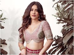 Nabha Natesh Photos : ఇస్మార్ట్ పోరి గాగ్రా చోళీ వేస్తే - ఆ సొగసు చూడతరమా