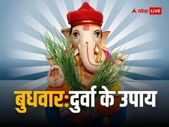 Durva Upay: भगवान गणेश को प्रिय है दूर्वा, बुधवार के दिन करे दूब घास से जुड़े ये उपाय