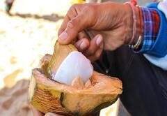 Health care: નારિયેળનું પાણી જ નહિ તેની મલાઇ પણ છે ગુણકારી, આ રોગમાં તેનું સેવન હિતકારી