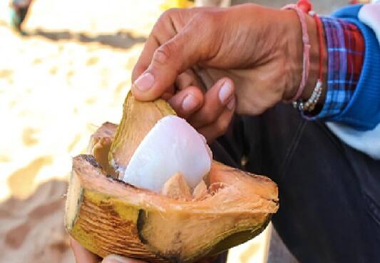 ઉનાળાની ઋતુ આવતા જ લોકો પોતાની જાતને સ્વસ્થ રાખવા માટે અનેકવિધ ઉપાયો કરતા હોય છે. આ સિઝનમાં મોટાભાગના લોકો શરીરમાં ઠંડક જાળવવા માટે વિવિધ પ્રકારના પીણાં પીવે છે. આમાંથી એક નારિયેળ પાણી પણ શરીર માટે ખૂબ જ ફાયદાકારક છે.