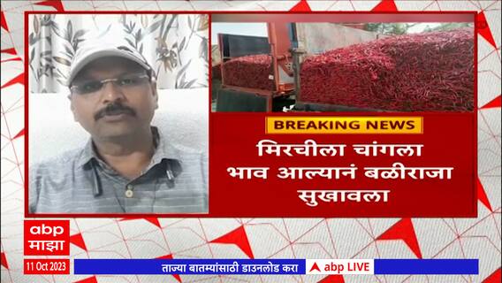 Nandurbar Chilly Price : मिरचीला चांगला भाव, शेतकीर सुखावला, नंदुरबार बाजार समितीत आवक वाढली