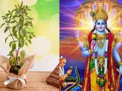 Sarva Pitru Amavasya 2023: સર્વ પિતૃ અમાસની સાથે સૂર્યગ્રહણ, ભૂલથી પણ ન કરો આ કામ