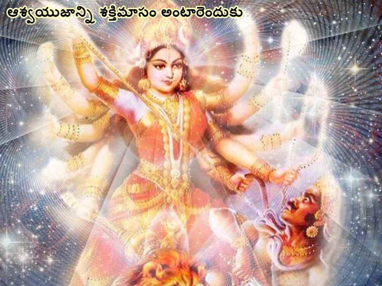 Dussehra 2023: month of Aswayuja is Brahmamuhurta time for the gods , importance of month of Aswayuja Dussehra 2023: ఆశ్వయుజం దేవతలకు బ్రహ్మముహూర్త సమయం - అందుకే ఈనెలకు అంత ప్రాముఖ్యత!