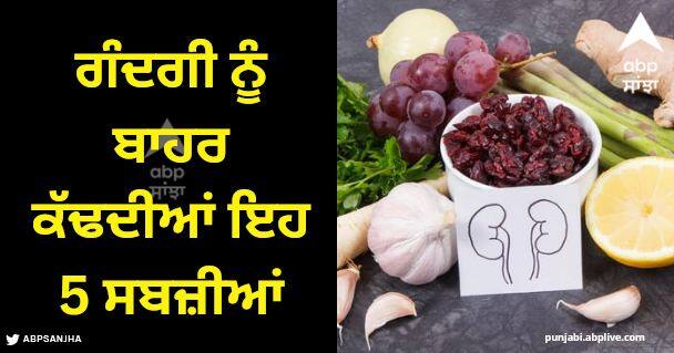 these 5 veggies protect and cleanse your kidney Kidney Health: ਗੁਰਦੇ ਦੇ ਅੰਦਰ ਫਸੀ ਗੰਦਗੀ ਨੂੰ ਬਾਹਰ ਕੱਢਦੀਆਂ ਇਹ 5 ਸਬਜ਼ੀਆਂ, ਪੱਥਰੀ ਨੂੰ ਕਰ ਦਿੰਦੀ ਖ਼ਤਮ