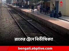 রাতের ট্রেনে বিভীষিকা! ছিনতাই রুখতে গিয়ে চলন্ত ট্রেন থেকে পড়লেন মহিলা