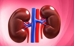 Chronic Kidney Diseases:কিডনিতে স্টোন? ভুলেও এই খাবারগুলি নয়