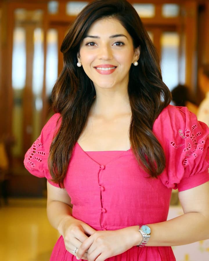 మెహ్రీన్ అందమైన ఫోటోలు  -Image Credit: Mehreen Pirzada/Instagram