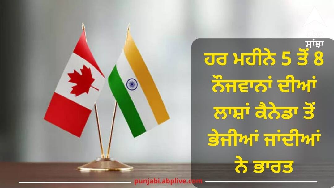 Canada: ਹੈਰਾਨ ਕਰਨ ਵਾਲਾ ਖ਼ੁਲਾਸਾ ! ਹਰ ਮਹੀਨੇ 5 ਤੋਂ 8 ਨੌਜਵਾਨਾਂ ਦੀਆਂ ਲਾਸ਼ਾਂ ਕੈਨੇਡਾ ਤੋਂ ਭੇਜੀਆਂ ਜਾਂਦੀਆਂ ਨੇ ਭਾਰਤ-ਰਿਪੋਰਟ Every month the dead bodies of 5 to 8 youths are sent from Canada to india report Canada: ਹੈਰਾਨ ਕਰਨ ਵਾਲਾ ਖ਼ੁਲਾਸਾ ! ਹਰ ਮਹੀਨੇ 5 ਤੋਂ 8 ਨੌਜਵਾਨਾਂ ਦੀਆਂ ਲਾਸ਼ਾਂ ਕੈਨੇਡਾ ਤੋਂ ਭੇਜੀਆਂ ਜਾਂਦੀਆਂ ਨੇ ਭਾਰਤ-ਰਿਪੋਰਟ