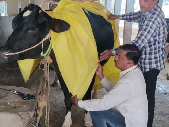 ही कीट बनविताना त्या किटला काही विशिष्ट ठिकाणी कप्पे करून त्यात डांबर गोळ्या ठेवल्या. एक माणूस सहजासहजी ही कीट जनावरांना घालू शकेल अशा पद्धतीने या किटची निर्मिती करण्यात आली आहे.