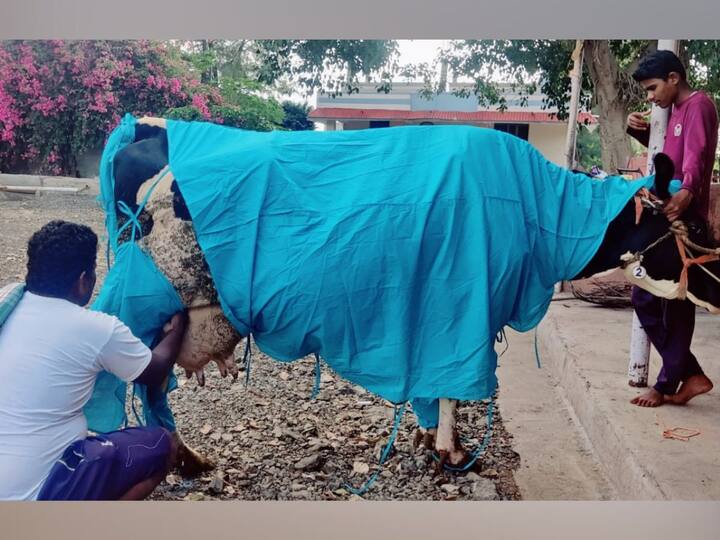 आपण बनवलेले पीपीई किट साधारण 1300 ते 1400 रुपयाच्या खर्चात तयार होत असून, यामुळे लाखो रुपयांच्या पशुधनाचे संरक्षण होत असल्याने शासनाने हे पीपीई किट वापरून लम्पी रोखण्यासाठी प्रयत्न करण्याचे आवाहन जितेंद्र बाजारे यांनी केले आहे.