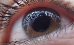 World Sight Day 2023: অজান্তেই চোখের ক্ষতি করছেন না তো? সতর্ক হন আজই