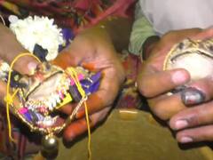 மழை வேண்டி தவளைகளுக்கு திருமணம் செய்து வைத்த விநோதம் - கோவை அருகே ருசிகர சம்பவம்!