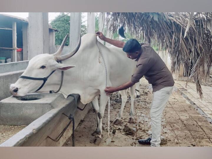 यामुळे, लम्पीचा संसर्ग झालेले जनावरे वाचली असून, त्यांचा प्रादुर्भाव इतर जनावरांना न झाल्याने शेतकऱ्यांचे लाखो रुपयांचे पशुधन वाचण्यास मदत झाली.