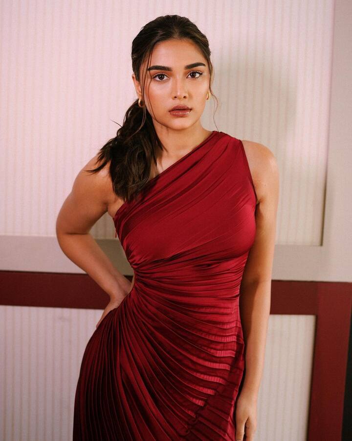 ప్రస్తుతం రెండు హిందీ సినిమాల్లో నటిస్తూ బిజీగా ఉన్నారు.