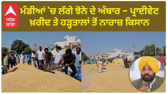 Punjab Farmer | ਮੰਡੀਆਂ 'ਚ ਲੱਗੇ ਝੋਨੇ ਦੇ ਅੰਬਾਰ -  ਪ੍ਰਾਈਵੇਟ ਖ਼ਰੀਦ ਤੇ ਹੜ੍ਹਤਾਲਾਂ ਤੋਂ ਨਾਰਾਜ਼ ਕਿਸਾਨ