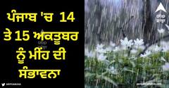 Punjab Weather Today: ਪੰਜਾਬ 'ਚ ਅੱਜ ਰਹੇਗਾ ਮੌਸਮ ਸਾਫ, 14 ਤੇ 15 ਅਕਤੂਬਰ ਨੂੰ ਮੀਂਹ ਦੀ ਸੰਭਾਵਨਾ