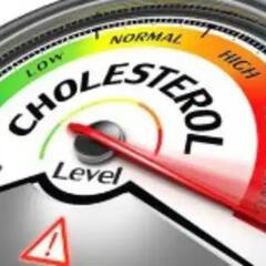 Health Tips: পাতে থাক এইসব খাবার, নিয়ন্ত্রণে থাকবে কোলেস্টেরল