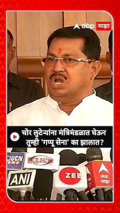 Vijay Wadettiwar : चोर लुटेऱ्यांना मंत्रिमंडळात घेऊन ...तुम्ही 'गप्पू सेना' का झालात?