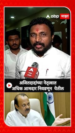 Amol Mitkari : अजित पवारांच्या नेतृत्वात अधिक आमदार निवडून येतील