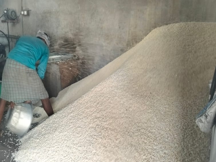 Ayudha Pooja 2023 Puffed Rice Preparation in Full Swing Dharmapuri Districts - TNN Ayudha Pooja 2023: ஆயுத பூஜை  வருவதால் தருமபுரி மாவட்டத்தில் பொரி தயாரிக்கும் பணிகள் தீவிரம்