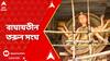 Durga Puja 2023: এবারে বিদেশি সাহিত্য়ই ফুটে উঠেছে বাঘাযতীন তরুন সংঘের থিমে | ABP Ananda LIVE