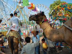 पांच साल बाद 'लखनऊ महोत्सव' की लौटेगी चमक, 10 दिनों तक जानें क्या होंगे कार्यक्रम?