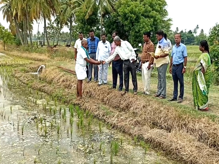 டிஏபி உரத்தை டெல்டா விவசாயிகள் பயன்படுத்த வேண்டாம் - வேளாண் விஞ்ஞானிகள் அட்வைஸ்