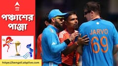 বারবার মাঠে ঢুকে পড়েন, বিশ্বকাপ থেকে নিষিদ্ধ করা হল ইংরেজ ক্রিকেটপ্রেমীকে