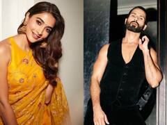 Pooja Hegde To Star Alongside Shahid Kapoor In Upcoming Action Thriller