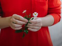 इस जादुई फूल के बारे में कितना जानते हैं आप, आदमी को बना देती है पैसे की मशीन