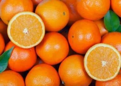 Agriculture News In Bangladesh  import duty of Rs 88 per kg on Vidarbha oranges, farmers in distress बांगलादेशचा एक निर्णय, विदर्भातील लाखो शेतकरी संकटात; अडीच लाख टन संत्र्याचं करायचं काय?