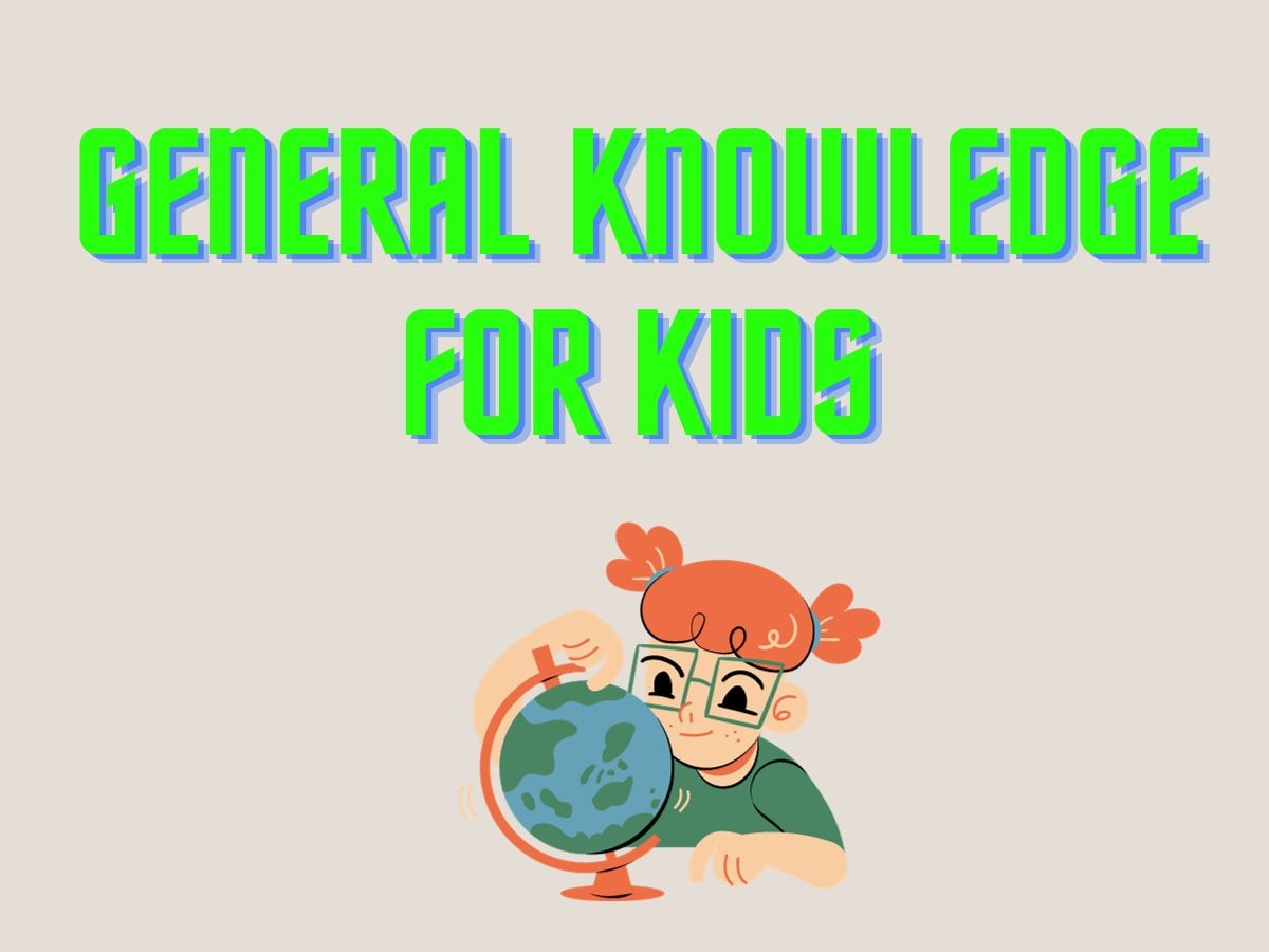 80+ GK Questions For Class 2 Children With Answers