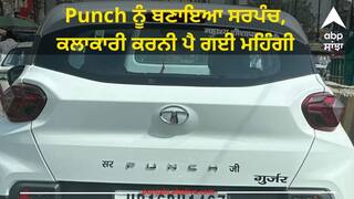 Punch ਨੂੰ ਬਣਾਇਆ ਸਰਪੰਚ, ਕਲਾਕਾਰੀ ਕਰਨੀ ਪੈ ਗਈ ਮਹਿੰਗੀ, ਪੁਲਿਸ ਨੇ ਲਿਆ ਸਖ਼ਤ ਐਕਸ਼ਨ