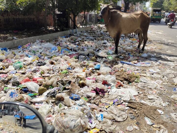 Gurgaon Nagar Nigam News Gurugram Sanitation system collapse employees given 3 day ultimatum to government ann Gurugram में चरमराई सफाई व्यवस्था, चारों तरफ गंदगी की भरमार, कर्मचारियों ने 3 दिन का दिया अल्टीमेटम
