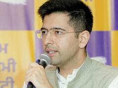 राघव चड्ढा के वकील की राय- ट्रायल कोर्ट का आदेश निष्पक्ष नहीं, जवाब में हाईकोर्ट ने फैसला सुरक्षित रखा 