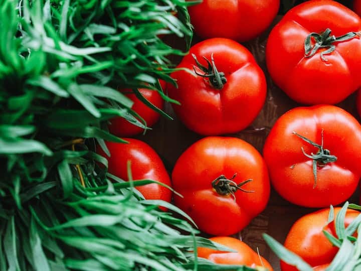 Tomato Cultivation at Home: टमाटर खाने के शौकीन लोगों के लिए ये खबर काम की है. आप यहां बताए गए तरीके के जरिए घर पर टमाटर उगा सकते हैं.