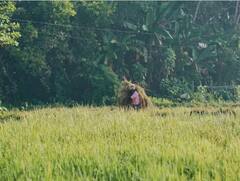 ਜੇ ਤੁਸੀਂ ਵੀ ਹੋ ਕਿਸਾਨ ਤਾਂ ਦੁਨੀਆ ਦੀ ਸਭ ਤੋਂ ਵੱਡੀ DBT ਸਕੀਮ ਦਾ ਜ਼ਰੂਰ ਚੱਕੋ ਫਾਇਦਾ