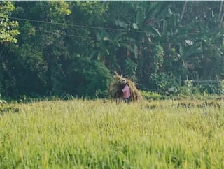 ਜੇ ਤੁਸੀਂ ਵੀ ਹੋ ਕਿਸਾਨ ਤਾਂ ਦੁਨੀਆ ਦੀ ਸਭ ਤੋਂ ਵੱਡੀ DBT ਸਕੀਮ ਦਾ ਜ਼ਰੂਰ ਚੱਕੋ ਫਾਇਦਾ