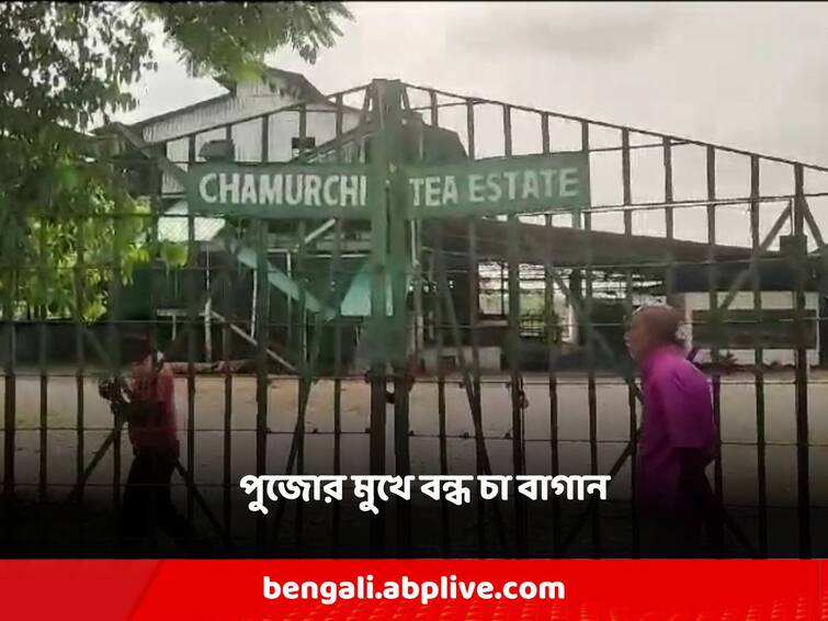 Jalpaiguri alipurduar Tea garden closed due to Bonus dissatisfaction, about 3 thousand people become jobless Jalpaiguri: বোনাস-অসন্তোষে বন্ধ চা বাগান, পুজোর কর্মহীন প্রায় সাড়ে ৩ হাজার শ্রমিক