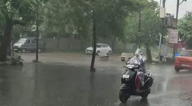 Due to  Western Disturbance rain falls on gujarat these district Rain Update:વેસ્ટર્ન ડિસ્ટર્બન્સના કારણે વાતાવરણમાં પલટો, આ જિલ્લામાં ફરી મેઘરાજાની ધમાકેદાર એન્ટ્રી