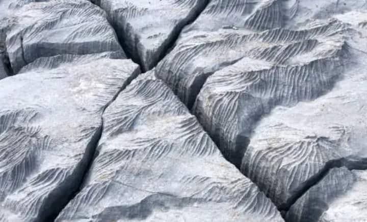 উপর থেকে কিছু বোঝা না গেলেও, ভূগর্ভে একাধিক পাত সচল অবস্থায় রয়েছে। অর্থাৎ মাটির নীচে এদিক ওদিক ঘোরাঘুরি রয়েছে তাদের। এই ঘোরাঘুরির সময়ই একটি পাত অন্য পাতের উপর উঠে এলে বা মুখোমুখি ধাক্কা খেলে কম্পন অনুভব করেন পৃথিবীবাসী, যাকে বলা হয় ভূমিকম্প।