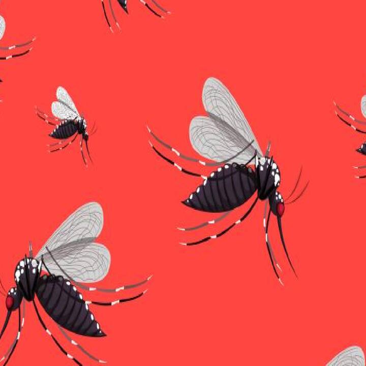 ਚਿਕਨਗੁਨੀਆ ਬੁਖ਼ਾਰ ਦਾ ਵਾਇਰਸ ਸੰਕ੍ਰਮਿਤ ਮੱਛਰ ਦੇ ਕੱਟਣ ਨਾਲ ਫੈਲਦਾ ਹੈ। ਮੱਛਰ ਜਦੋਂ ਚਿਕਨਗੁਨੀਆ ਨਾਲ ਸੰਕ੍ਰਮਿਤ ਵਿਅਕਤੀ ਨੂੰ ਕੱਟਦਾ ਹੈ ਤਾਂ ਉਹ ਸੰਕ੍ਰਮਿਤ ਹੋ ਜਾਂਦਾ ਹੈ।