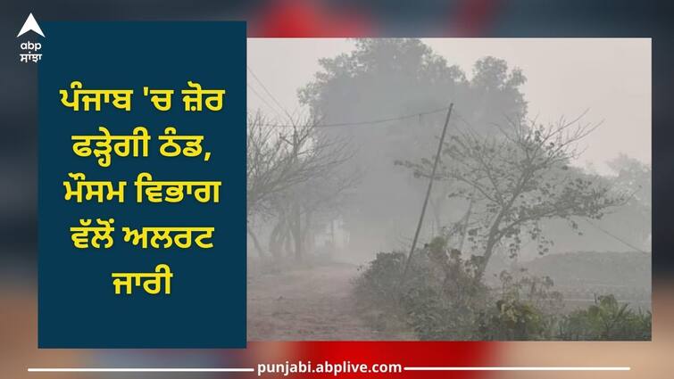 Punjab Weather: Cold will increase in Punjab, weather department has issued alert Punjab Weather: ਪੰਜਾਬ 'ਚ ਜ਼ੋਰ ਫੜ੍ਹੇਗੀ ਠੰਡ, ਮੌਸਮ ਵਿਭਾਗ ਵੱਲੋਂ ਅਲਰਟ ਜਾਰੀ