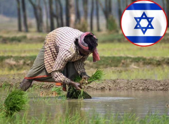 do you know why indian farmers go to israel here the answer ਕੀ ਤੁਸੀਂ ਜਾਣਦੇ ਹੋ ਕਿ ਭਾਰਤੀ ਕਿਸਾਨ ਇਜ਼ਰਾਈਲ ਕਿਉਂ ਜਾਂਦੇ ਹਨ? ਜਾਣੋ ਜਵਾਬ