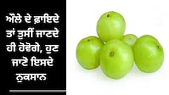 ਔਲੇ ਦੇ ਫ਼ਾਇਦੇ ਤਾਂ ਤੁਸੀਂ ਜਾਣਦੇ ਹੀ ਹੋਵੋਗੇ, ਹੁਣ ਜਾਣੋ ਇਸਦੇ ਨੁਕਸਾਨ , ਕਦੋਂ ਹੋ ਸਕਦਾ ਹੈ ਸਿਹਤ ਲਈ 'ਖਤਰਨਾਕ'
