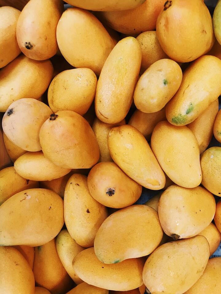 இரும்புச்சத்து, துத்தநாகம், கால்சியம் மற்றும் பிற தாதுக்களை உடல் உறிஞ்சுவதைத் தடுக்கும் ஒரு ஊட்டச்சத்து எதிர்ப்புப் பொருளாக இது கருதப்படுகிறது.
