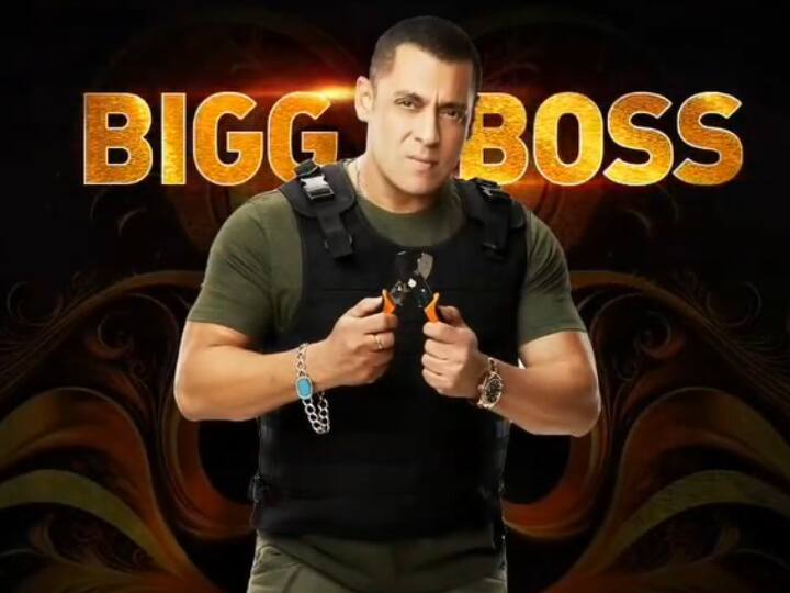 Bigg Boss contestant Pamela Anderson took home Rs 2 crores for just 3 days salman khan show ये है Bigg Boss की अब तक की हाईएस्ट पेड कंटेस्टेंट, करोड़ों फीस लेकर महज 3 दिन तक रहा था शो में स्टे