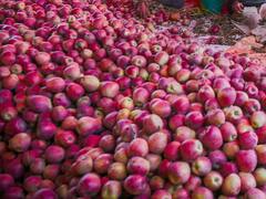 शिमला में पहाड़ों पर गाड़ी चलाने की ट्रेनिंग, सेब की ढुलाई के दौरान होने वाली सड़क हादसों में आई कमी